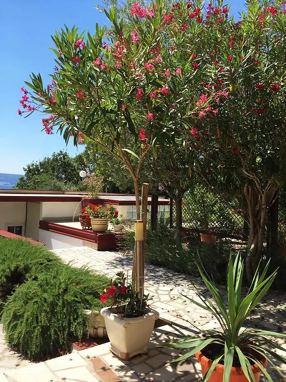 Apartments Villa Novi Novi Vinodolski